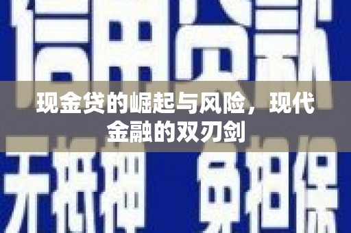 南海现金贷的崛起与风险，现代金融的双刃剑