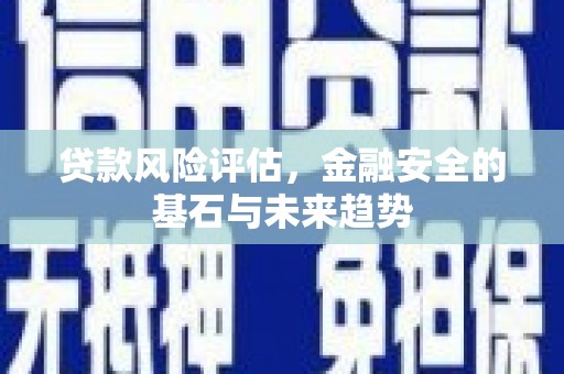 南海贷款风险评估，金融安全的基石与未来趋势