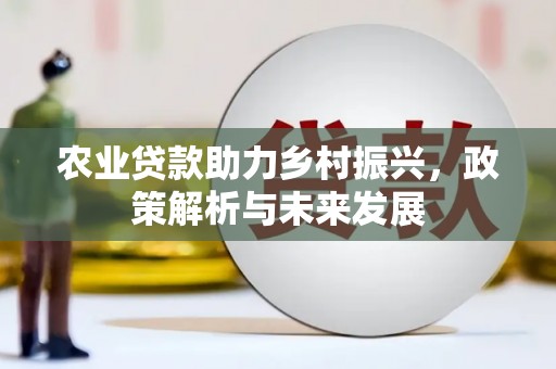 南海农业贷款助力乡村振兴，政策解析与未来发展