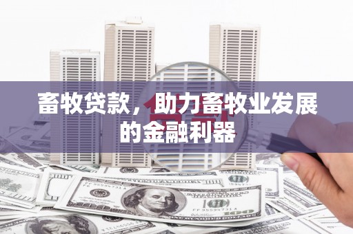 南海畜牧贷款，助力畜牧业发展的金融利器