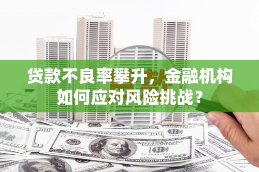 南海贷款不良率攀升，金融机构如何应对风险挑战？