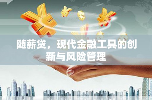 南海随薪贷，现代金融工具的创新与风险管理
