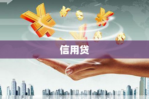 南海信用贷