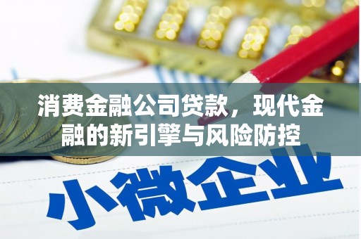 南海消费金融公司贷款，现代金融的新引擎与风险防控