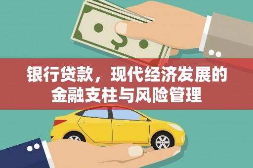 南海银行贷款，现代经济发展的金融支柱与风险管理