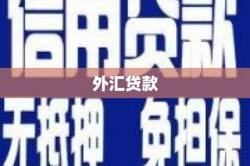 南海外汇贷款