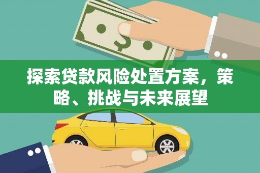南海探索贷款风险处置方案，策略、挑战与未来展望