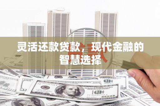 南海灵活还款贷款，现代金融的智慧选择