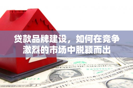 南海贷款品牌建设，如何在竞争激烈的市场中脱颖而出