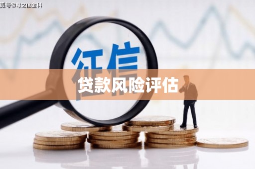 南海贷款风险评估