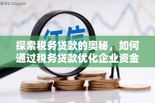 南海探索税务贷款的奥秘，如何通过税务贷款优化企业资金流