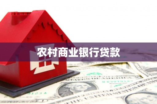 南海农村商业银行贷款