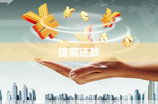 南海提前还款