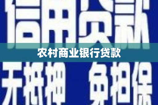 南海农村商业银行贷款