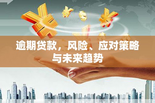 南海逾期贷款，风险、应对策略与未来趋势
