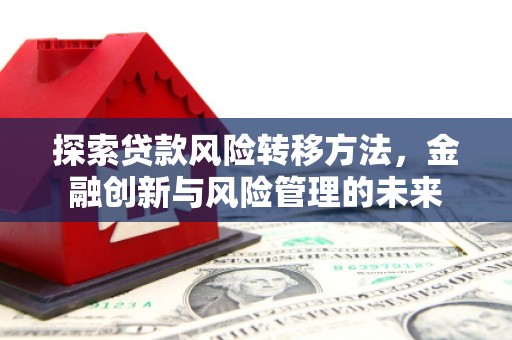 南海探索贷款风险转移方法，金融创新与风险管理的未来