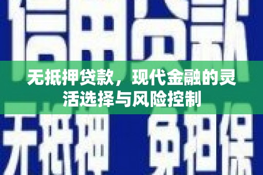 南海无抵押贷款，现代金融的灵活选择与风险控制