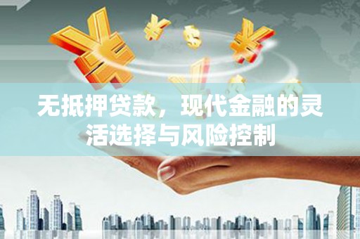 南海无抵押贷款，现代金融的灵活选择与风险控制