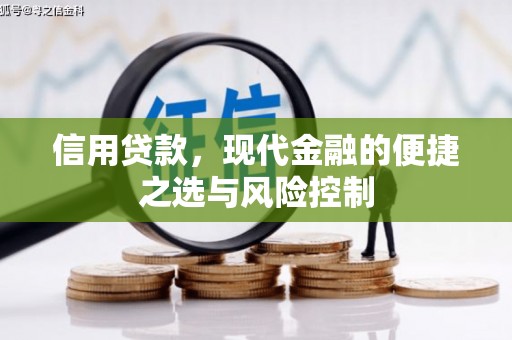 南海信用贷款，现代金融的便捷之选与风险控制