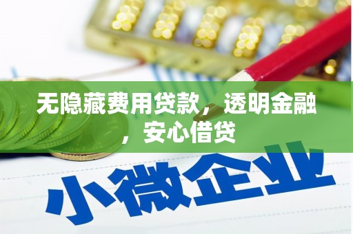 南海无隐藏费用贷款，透明金融，安心借贷