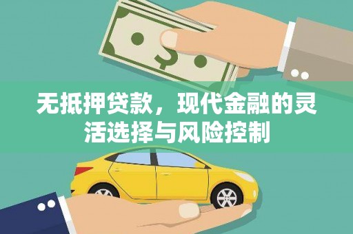 南海无抵押贷款，现代金融的灵活选择与风险控制