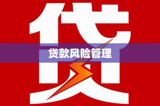 南海贷款风险管理