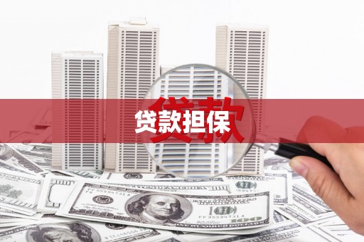 南海贷款担保