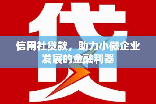 南海信用社贷款，助力小微企业发展的金融利器
