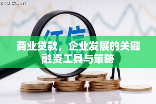 南海商业贷款，企业发展的关键融资工具与策略