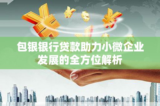 南海包银银行贷款助力小微企业发展的全方位解析