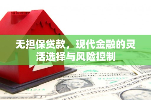 南海无担保贷款，现代金融的灵活选择与风险控制