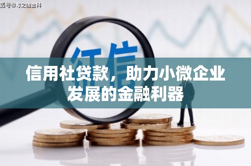 南海信用社贷款，助力小微企业发展的金融利器