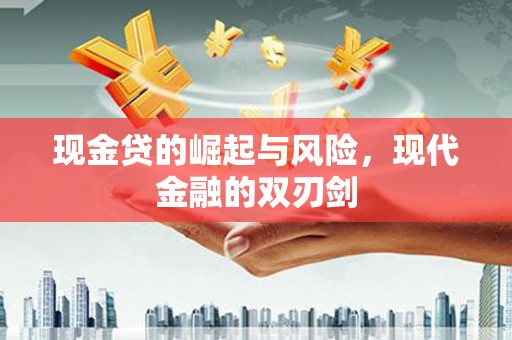 南海现金贷的崛起与风险，现代金融的双刃剑