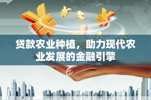南海贷款农业种植，助力现代农业发展的金融引擎