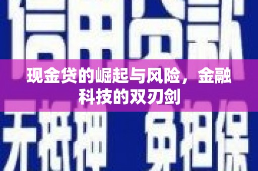 南海现金贷的崛起与风险，金融科技的双刃剑