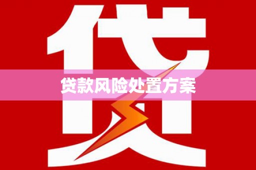 南海贷款风险处置方案