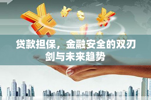 南海贷款担保，金融安全的双刃剑与未来趋势