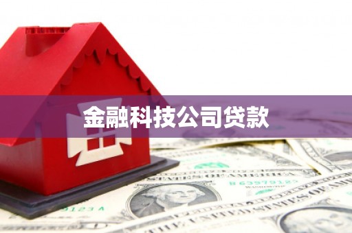 南海金融科技公司贷款