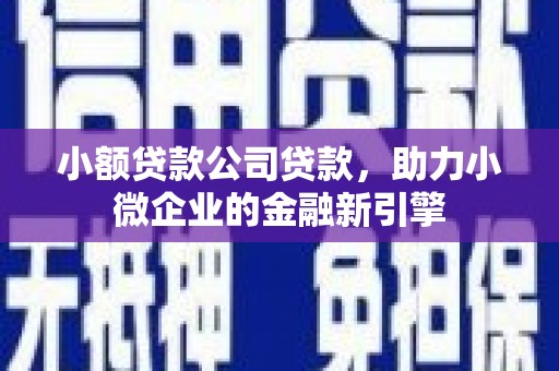 南海小额贷款公司贷款，助力小微企业的金融新引擎