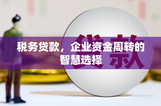 南海税务贷款，企业资金周转的智慧选择