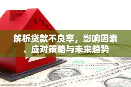 南海解析贷款不良率，影响因素、应对策略与未来趋势