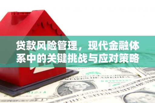 南海贷款风险管理，现代金融体系中的关键挑战与应对策略