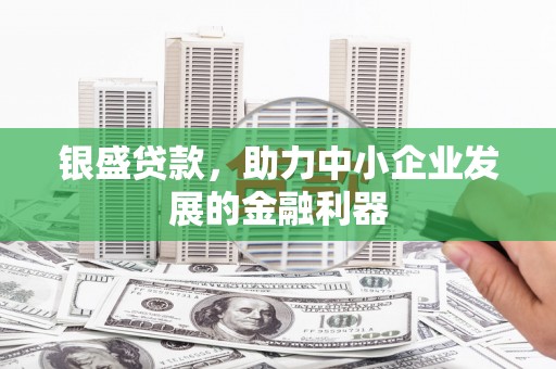 南海银盛贷款，助力中小企业发展的金融利器
