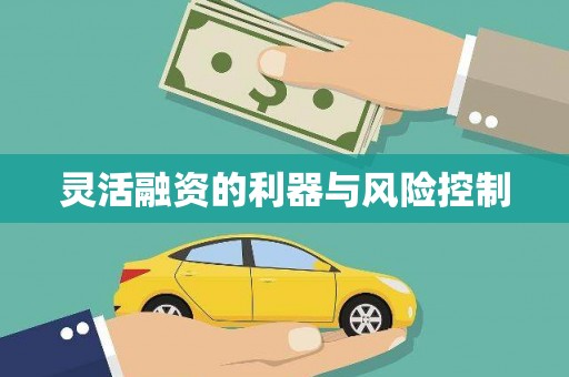 南海灵活融资的利器与风险控制