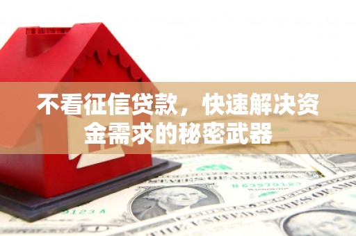 南海不看征信贷款，快速解决资金需求的秘密武器