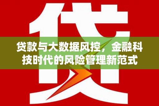 南海贷款与大数据风控，金融科技时代的风险管理新范式
