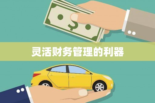 南海灵活财务管理的利器