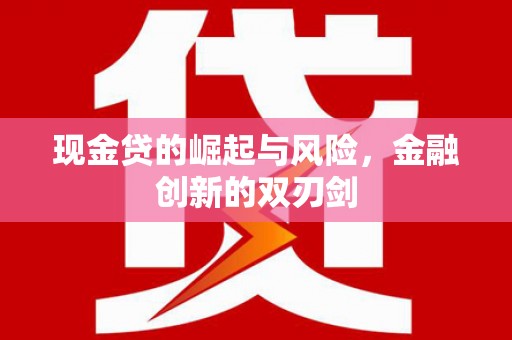 南海现金贷的崛起与风险，金融创新的双刃剑