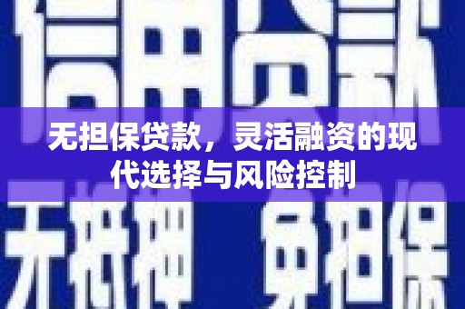 南海无担保贷款，灵活融资的现代选择与风险控制