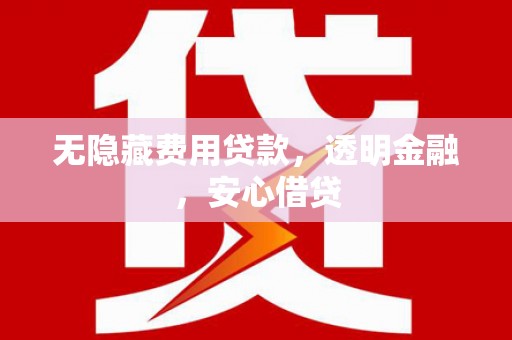 南海无隐藏费用贷款，透明金融，安心借贷